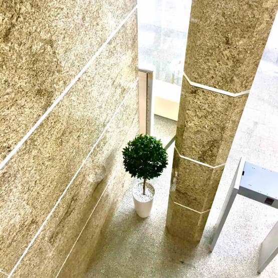 Описание изображения 5