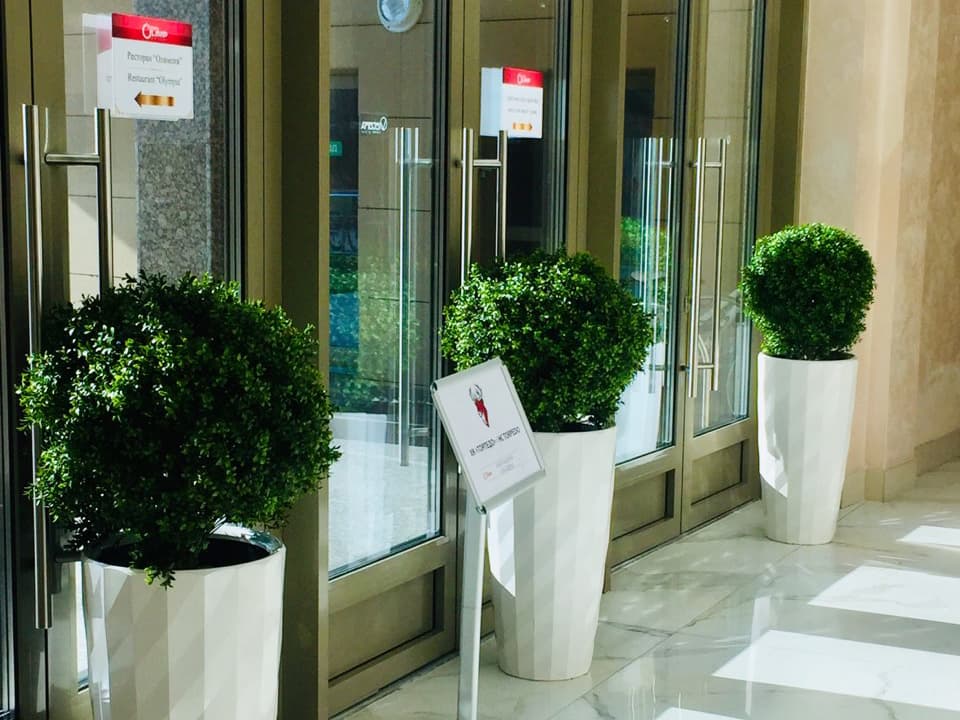 Описание изображения 6