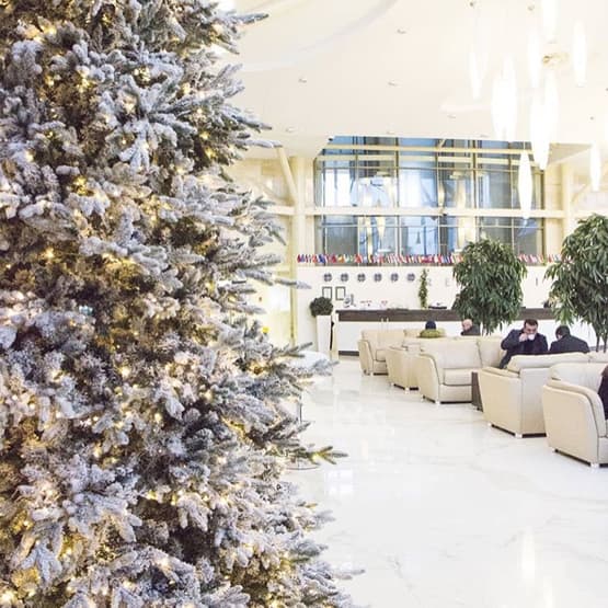 Описание изображения 2